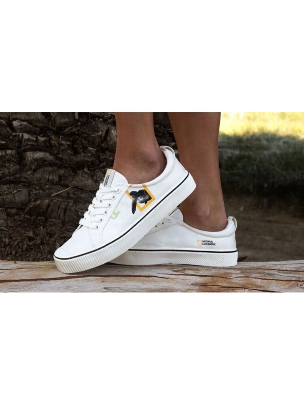 Z4. (10.5W, 9M) NIB CARIUMA X NATIONAL GEOGRAPHIC TURTLE WHITE SNEAKER